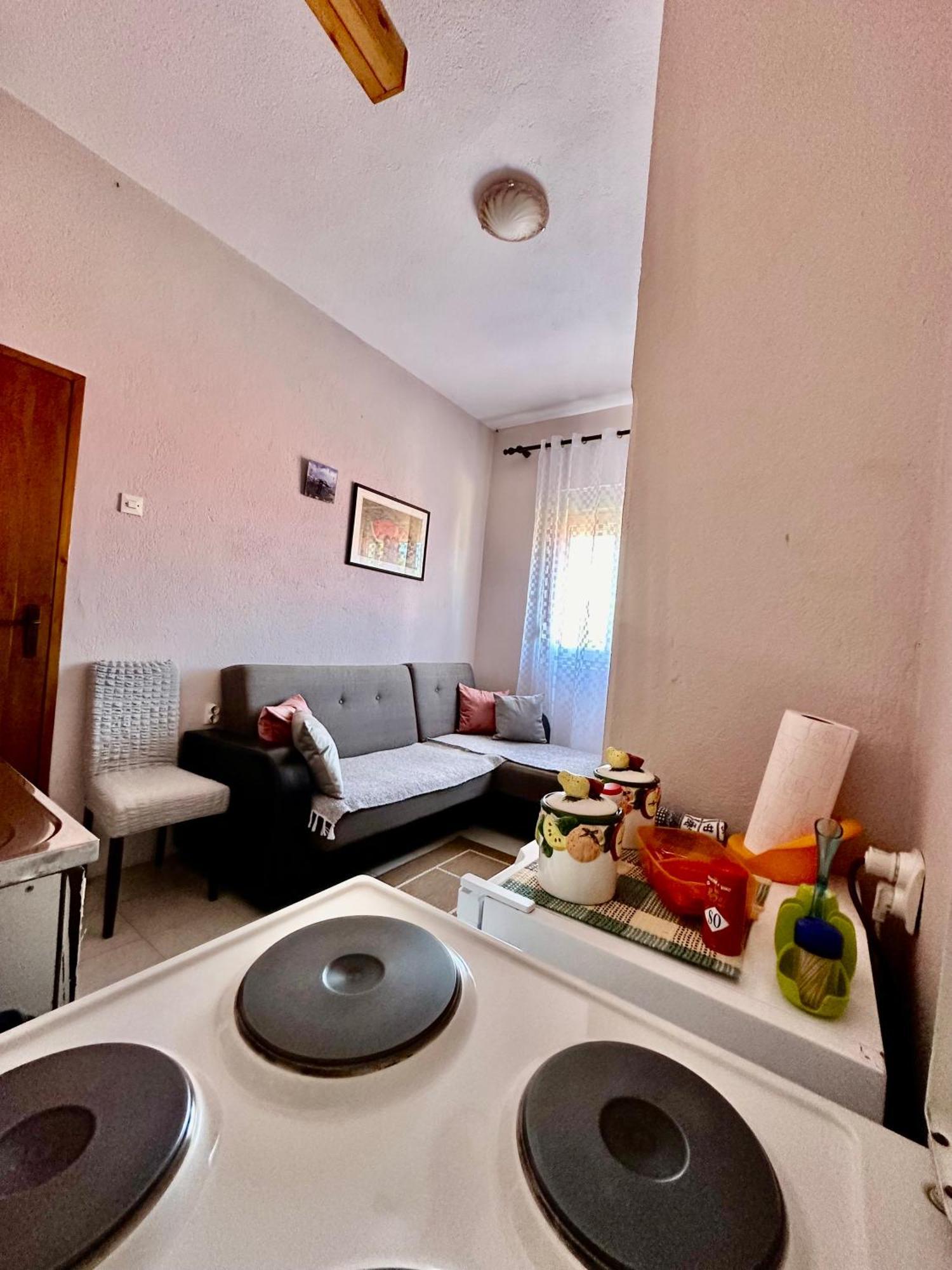 Apartment Ruzica Жабляк Экстерьер фото